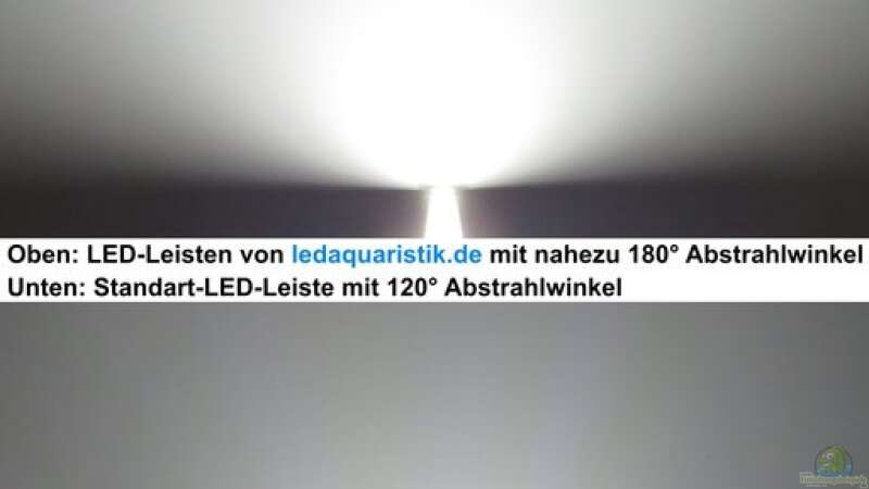 Meine LED-Beleuchtung - stromsparend, leistungsstark, naturnah, bezahlbar