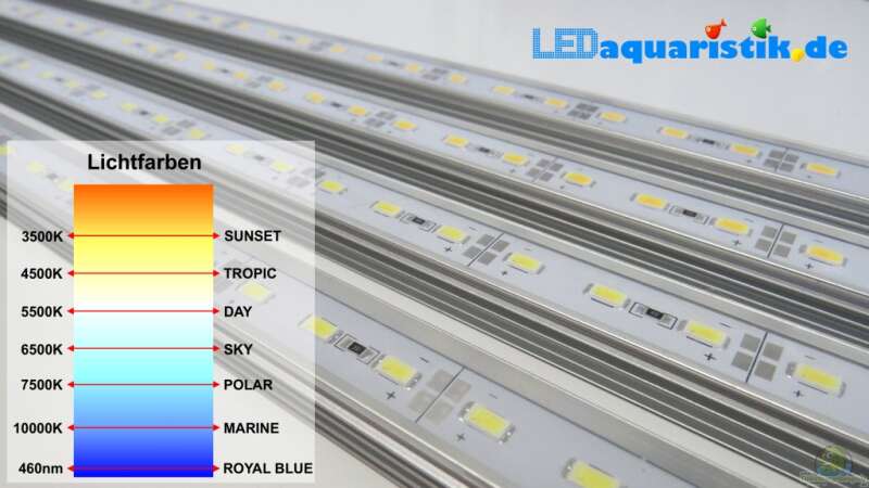 Meine LED-Beleuchtung - stromsparend, leistungsstark, naturnah, bezahlbar