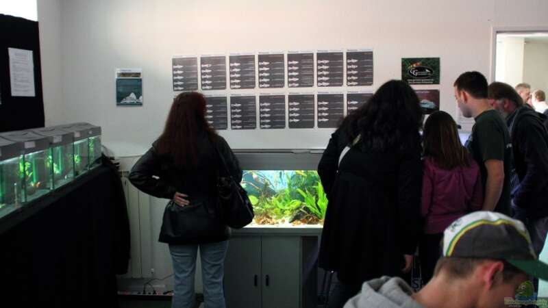 Bericht und Bilder vom Aquaristikevent für das Programm am 16.04.2011 in Berlin