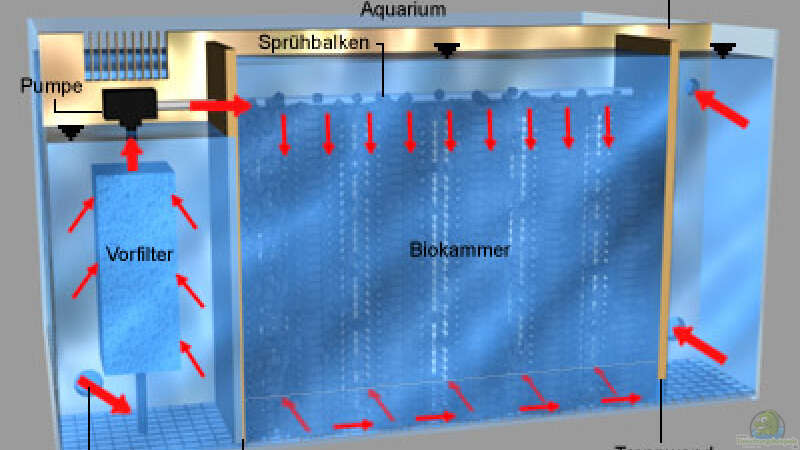 Funktionsweise des 3-Kammern Biofilter hinter der Rückwand von Andy Weiss (8)