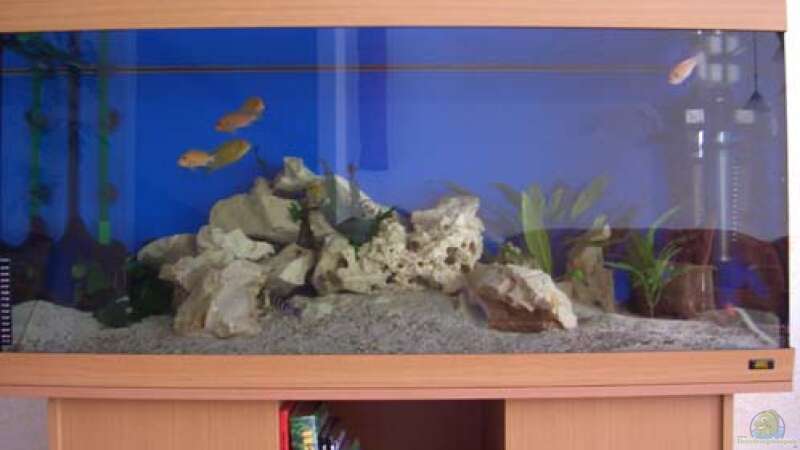 Aquarium Becken 2250 von Michael Kirchhoff (2)