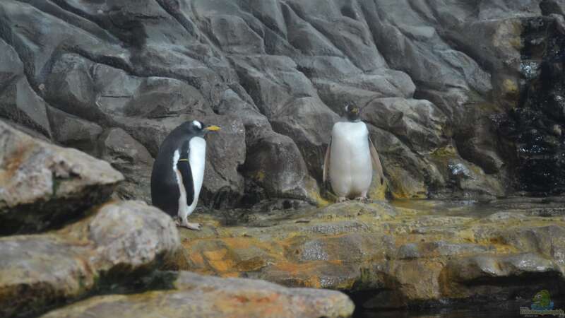 Mich@ on Tour: Ein Besuch im Düsseldorfer Aquazoo Löbbecke Museum