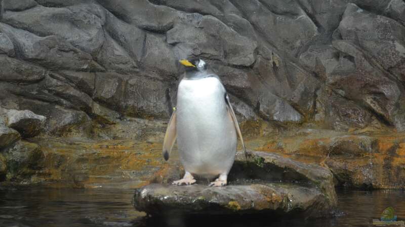 Mich@ on Tour: Ein Besuch im Düsseldorfer Aquazoo Löbbecke Museum