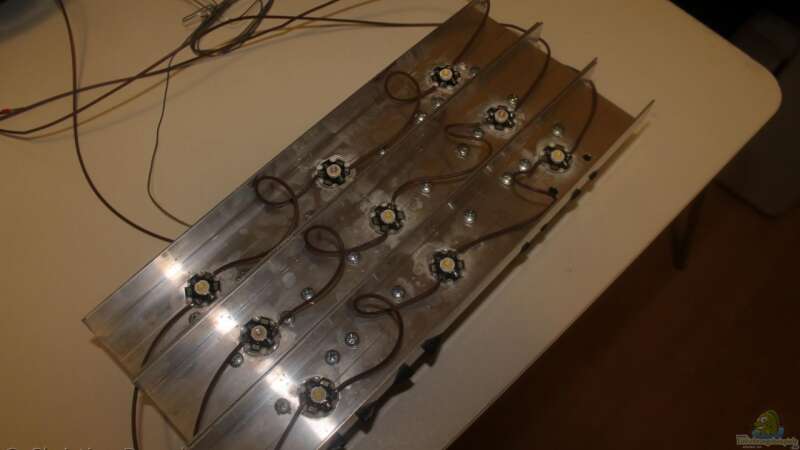 die LEDs von chrisi01 (14)