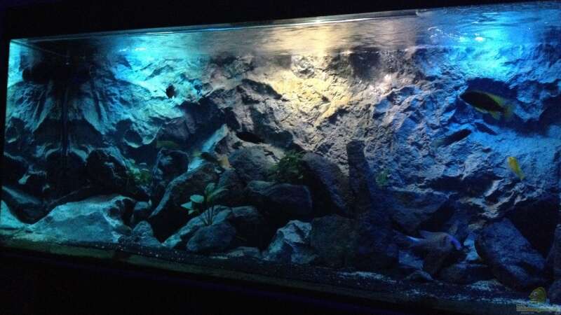 Aquarium Hauptansicht von Becken 24 von der Steirer (11)