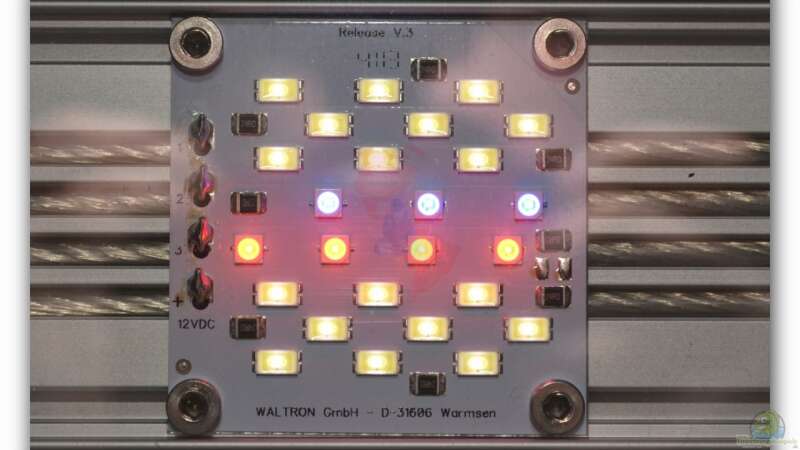 Mich@`s Stiftung Aqua-Test: Daytime Cluster Control (120.4) - LED Lampe 