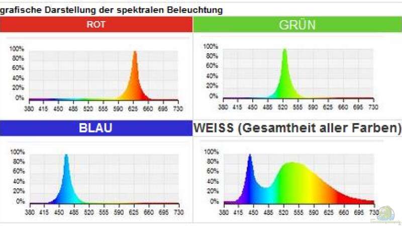 Wissenswertes über Beleuchtung