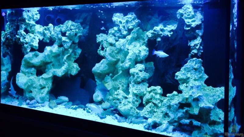 Aquarium Becken 29622 von _JWoww_ (1)