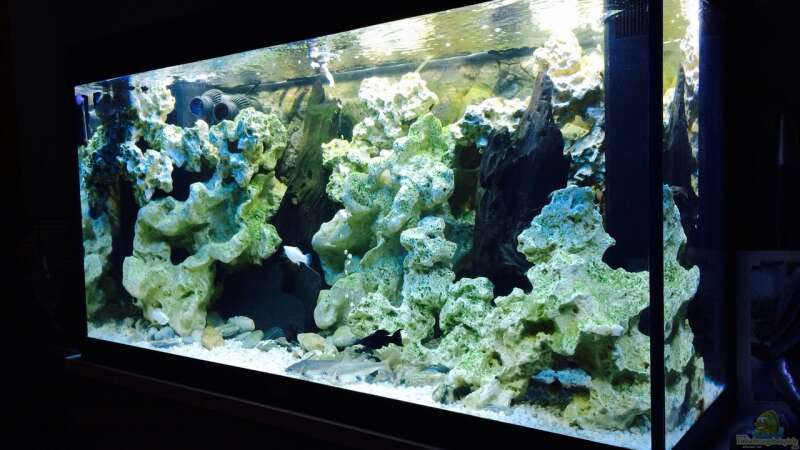 Aquarium Becken 29622 von _JWoww_ (2)