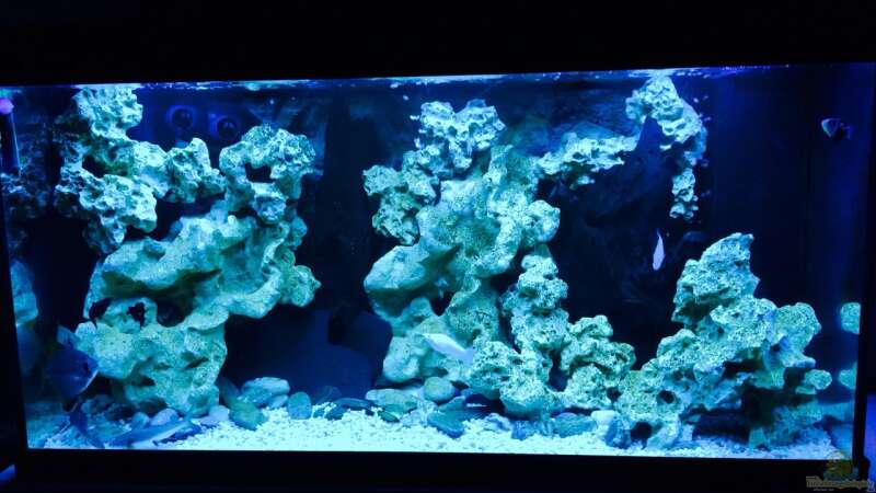 Aquarium Becken 29622 von _JWoww_ (4)