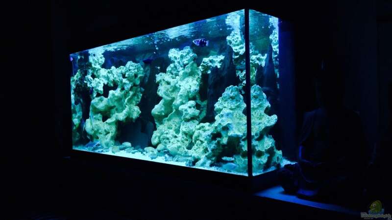 Aquarium Becken 29622 von _JWoww_ (5)