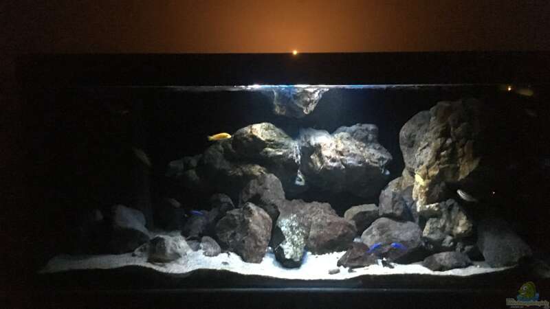 Aquarium Hauptansicht von Becken 24 von der Steirer (31)