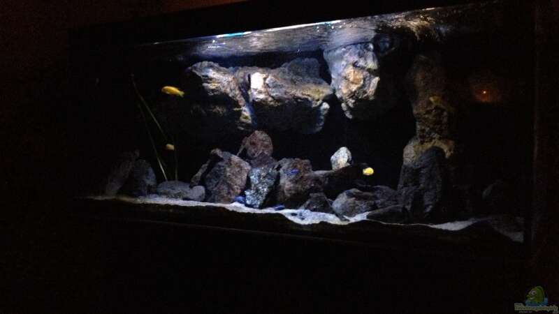 Aquarium Hauptansicht von Becken 24 von der Steirer (47)