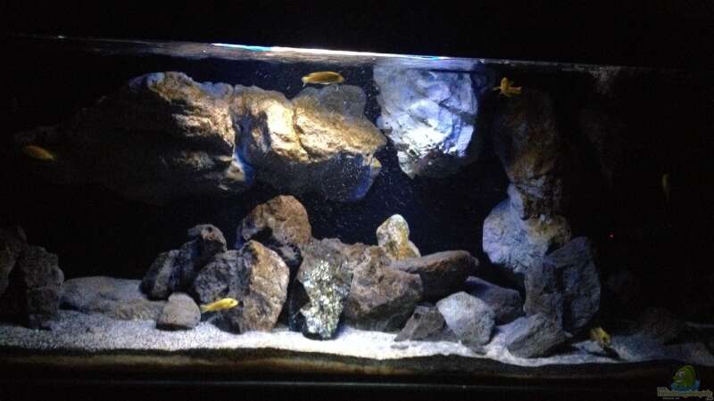 Aquarium Hauptansicht von Becken 24 von der Steirer (53)