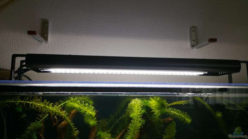 ECO LED Leisten von LED Aquaristik von Andy1904 (5)