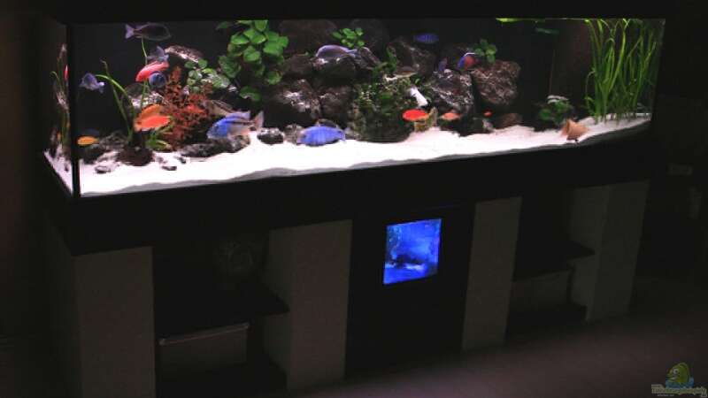 Aquarium Becken 3280 von meerwasser-gb (7)