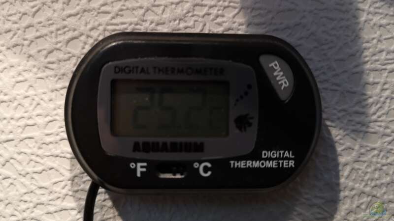 Thermometer von Der Küstenjunge (35)