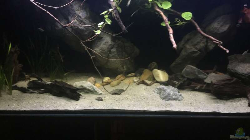 Aquarium Hauptansicht von Becken 24 von der Steirer (29)