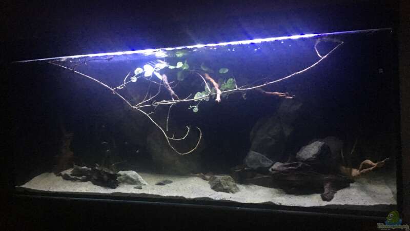 Aquarium Hauptansicht von Becken 24 von der Steirer (32)