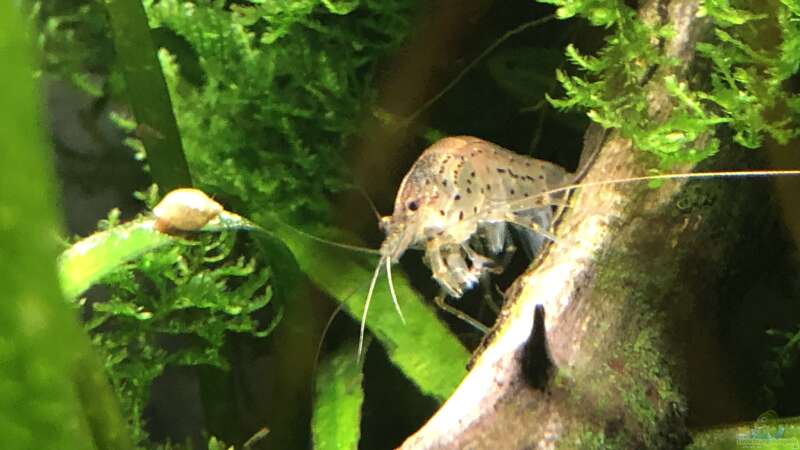 Aquarium Hauptansicht von Becken 24 von der Steirer (1)