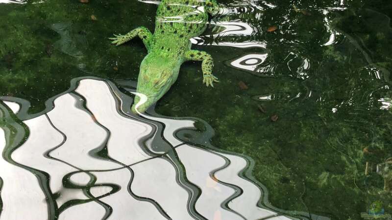 WILHELMA 6 - Zoologisch-Botanischer Garten in Stuttgart