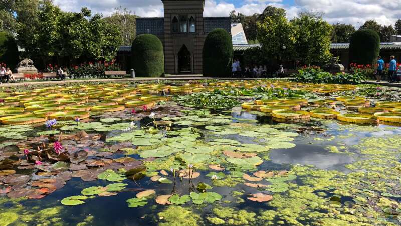 WILHELMA 1 - Zoologisch-Botanischer Garten in Stuttgart