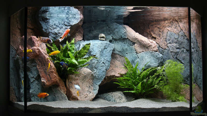 Aquarium Hauptansicht von Becken 37662