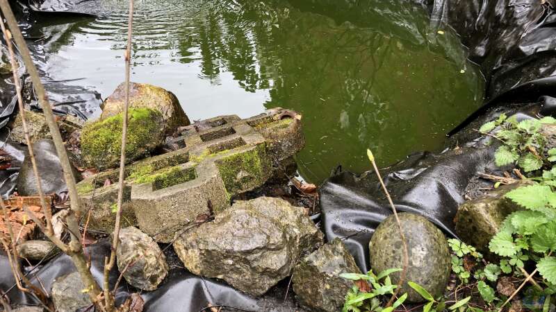 So pflege ich meinen Teich, mein Biotop