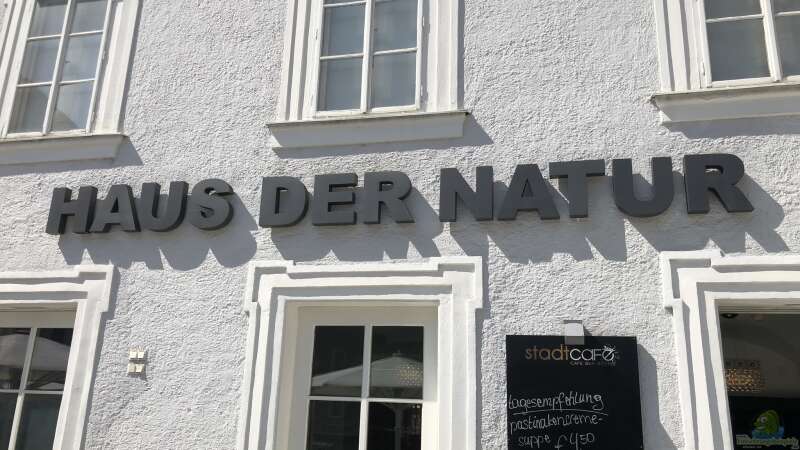 Das Haus der Natur in Salzburg Teil 1 - Reptilien und Video