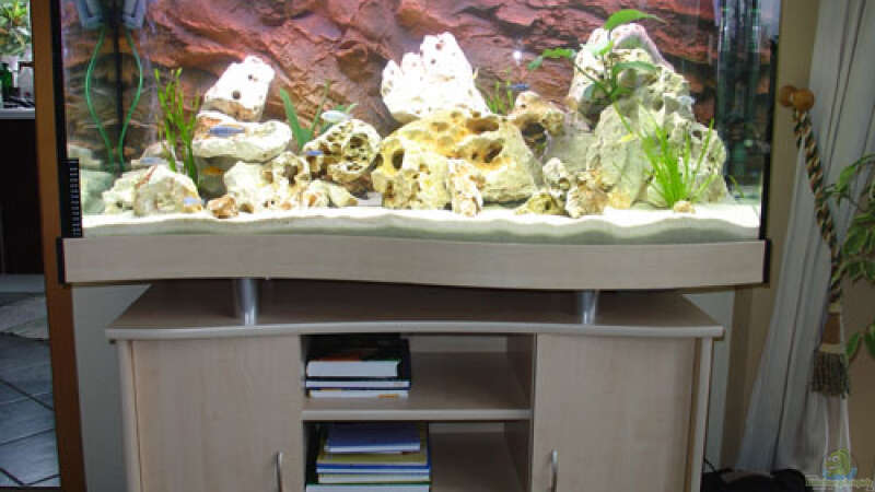 Aquarium Becken 392 von Blackpearl (2)