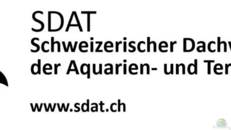 Aquarien- und Terrarien-Vereine wozu?