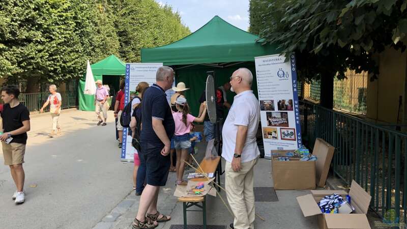 Artenschutztage im Zoo von Schönbrunn 2019