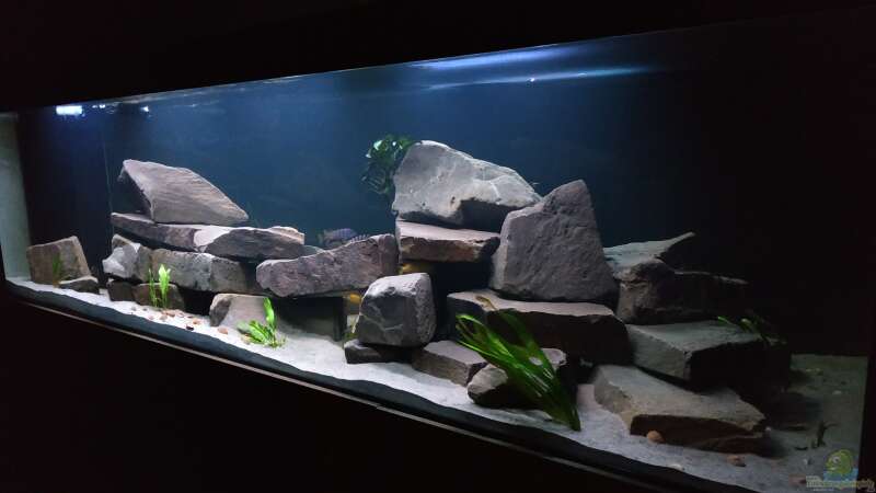 Aquarium Hauptansicht von Becken 24 von Tim Gleichmann (2)