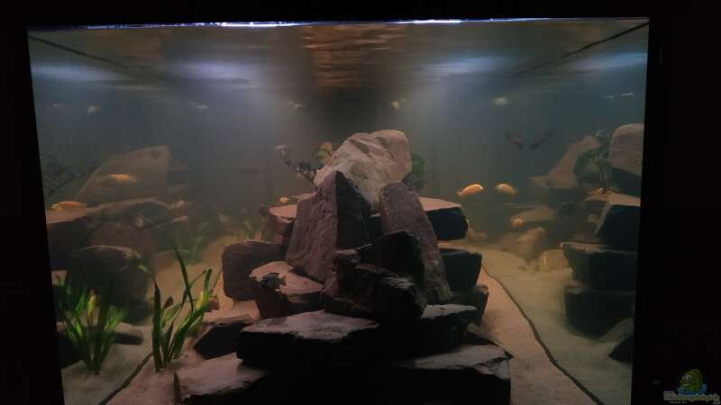 Aquarium Hauptansicht von Becken 24 von Tim Gleichmann (5)