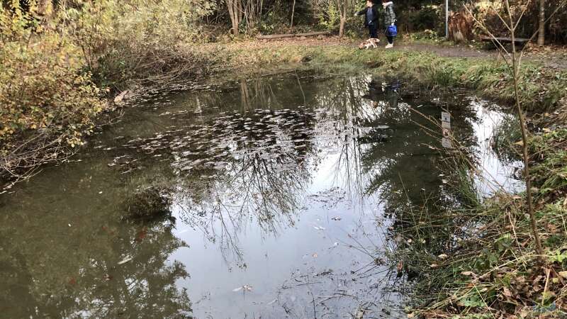 Das Verantwortungsbewusstsein der Aquarianer, Terrarianer und Teich-Besitzer unserer Natur gegenüber