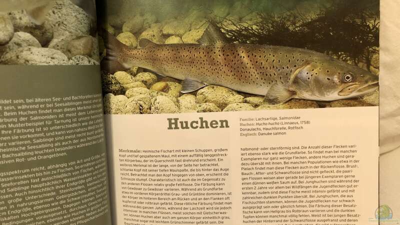 Buch-Vorstellung ???Fische, Krebse & Muscheln in heimischen Seen und Flüssen???