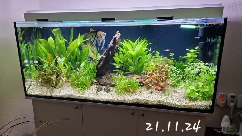 Aquarium Hauptansicht von Meine kleine Unterwasserwelt von Andreas Janßen (1)