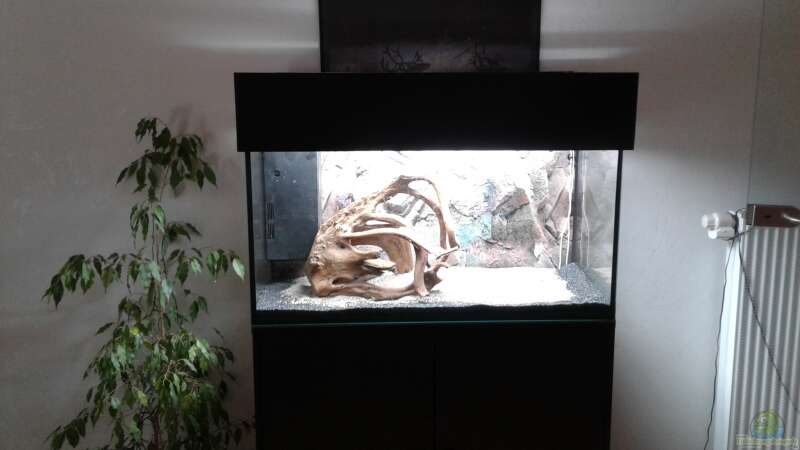 Aquarium Hauptansicht von Becken 24 von wasserträger (8)