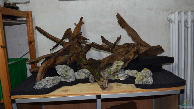 Hardscape Trockenversuch^^ von Junglist (22)