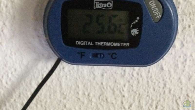 28.04.2021 Thermometer von herkla (17)