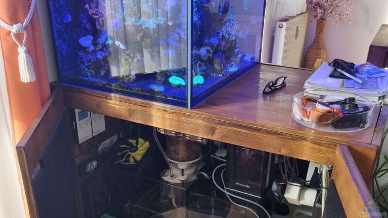 Aquarium Hauptansicht von Reeftech Addicted Obsolete von The_Lizardking (1)