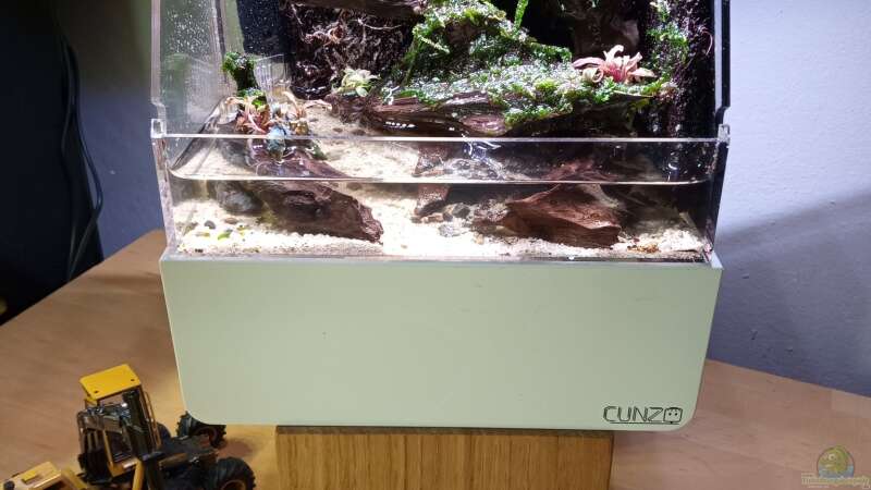 Aquarium Kedagang von Junglist (2)