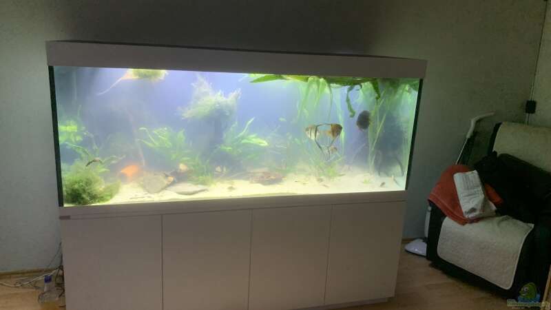 Aquarium 1000L Amazonas von signo (6)