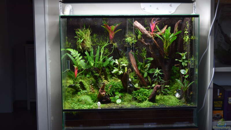 Aquarium Amazon von Junglist (2)