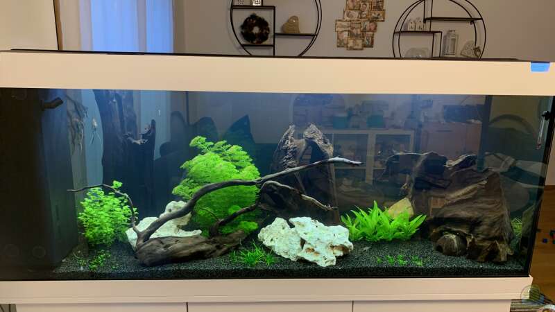 Aquarium Hauptansicht von Rio Südamerika von RS RS (1)