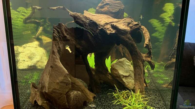 Aquarium Rio Südamerika von RS RS (23)