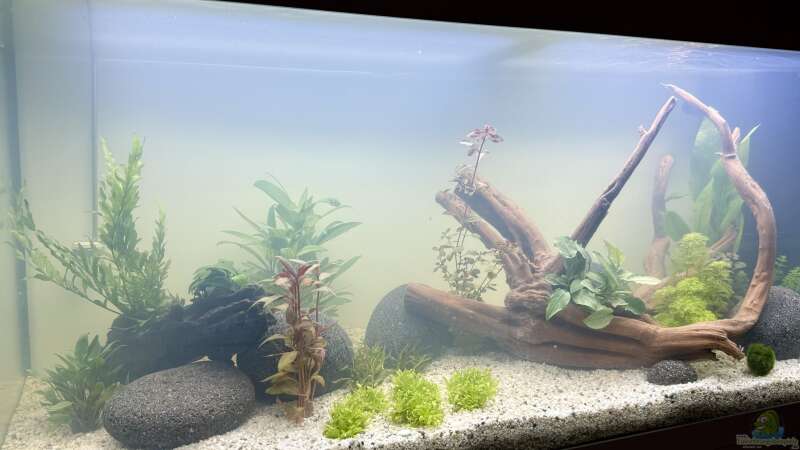 Aquarium Hauptansicht von Becken 24 von Skyrap (1)