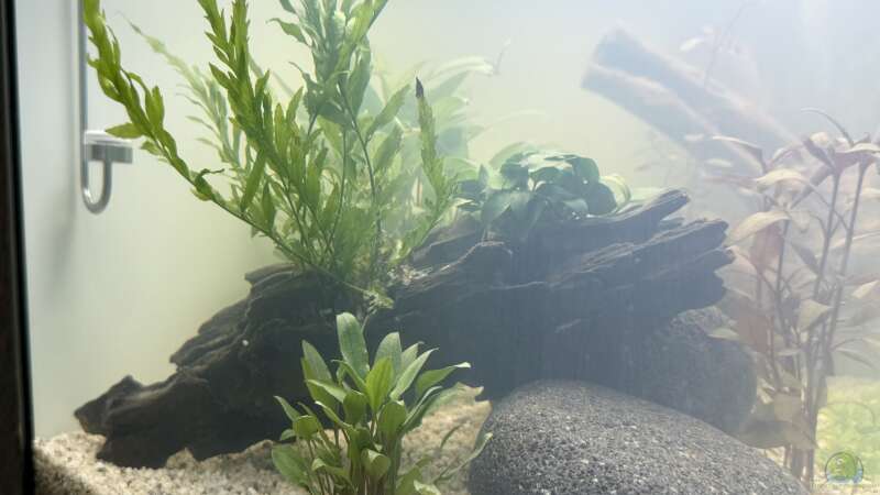 Aquarium Hauptansicht von Becken 24 von Skyrap (2)