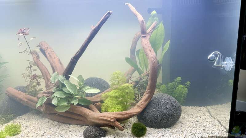 Aquarium Hauptansicht von Becken 24 von Skyrap (3)