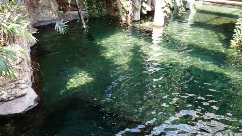 Malawi-AQ im Tropen-Aquarium-Hagenbeck